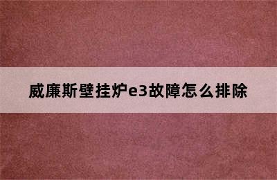 威廉斯壁挂炉e3故障怎么排除