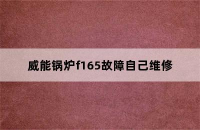 威能锅炉f165故障自己维修