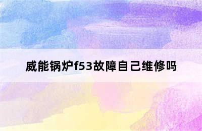 威能锅炉f53故障自己维修吗