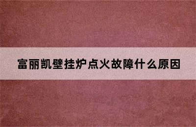 富丽凯壁挂炉点火故障什么原因