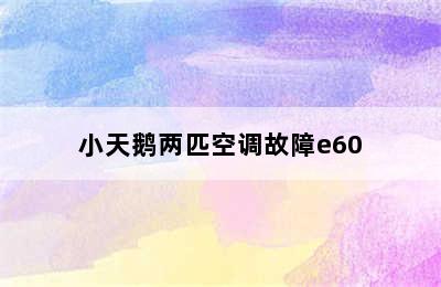 小天鹅两匹空调故障e60