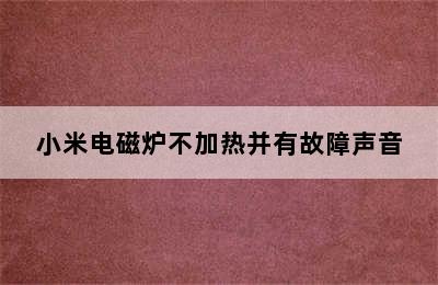 小米电磁炉不加热并有故障声音