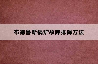 布德鲁斯锅炉故障排除方法