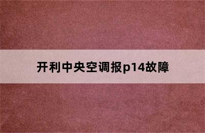 开利中央空调报p14故障