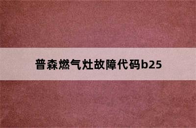 普森燃气灶故障代码b25