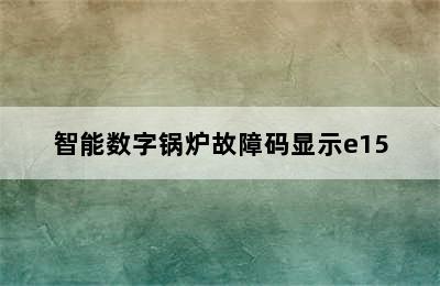 智能数字锅炉故障码显示e15