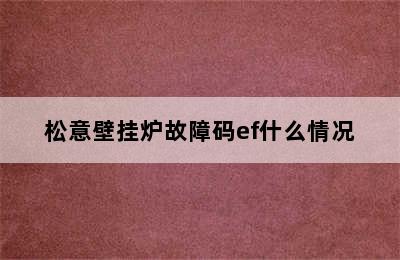 松意壁挂炉故障码ef什么情况