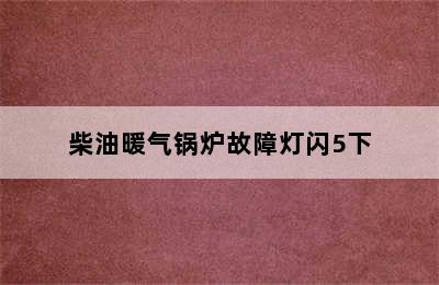 柴油暖气锅炉故障灯闪5下