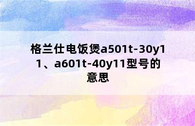 格兰仕电饭煲a501t-30y11、a601t-40y11型号的意思