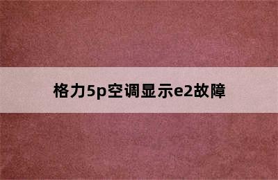 格力5p空调显示e2故障