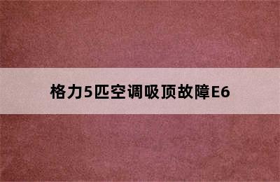 格力5匹空调吸顶故障E6