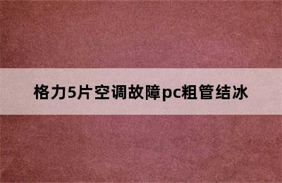 格力5片空调故障pc粗管结冰