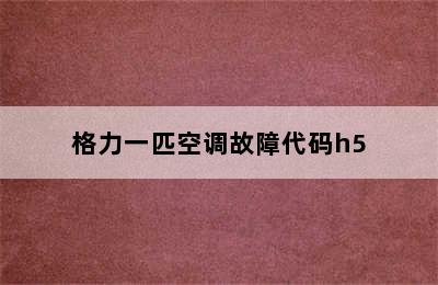 格力一匹空调故障代码h5