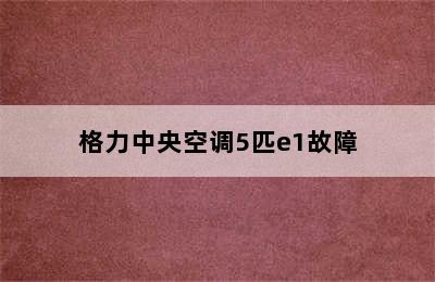 格力中央空调5匹e1故障