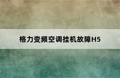 格力变频空调挂机故障H5