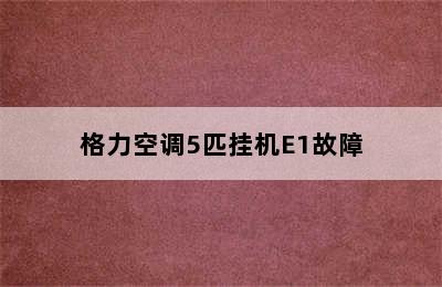 格力空调5匹挂机E1故障