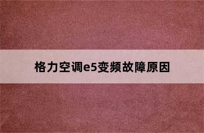 格力空调e5变频故障原因