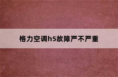 格力空调h5故障严不严重