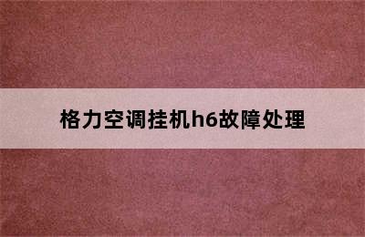 格力空调挂机h6故障处理