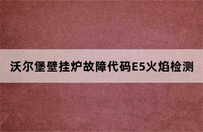 沃尔堡壁挂炉故障代码E5火焰检测