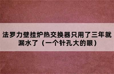 法罗力壁挂炉热交换器只用了三年就漏水了（一个针孔大的眼）