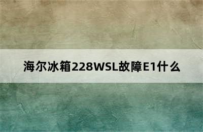 海尔冰箱228WSL故障E1什么