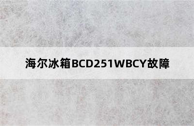 海尔冰箱BCD251WBCY故障