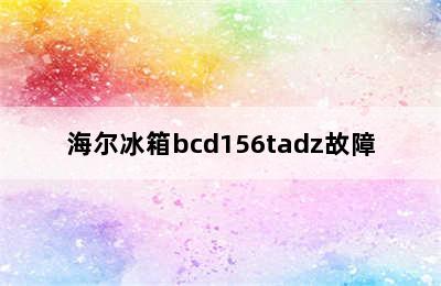 海尔冰箱bcd156tadz故障