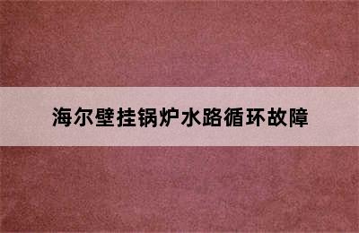 海尔壁挂锅炉水路循环故障