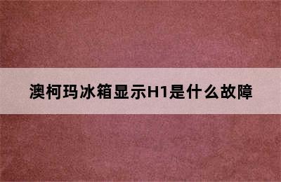 澳柯玛冰箱显示H1是什么故障