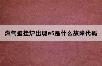 燃气壁挂炉出现e5是什么故障代码