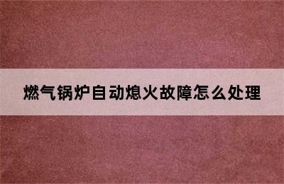 燃气锅炉自动熄火故障怎么处理