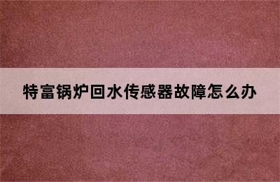 特富锅炉回水传感器故障怎么办