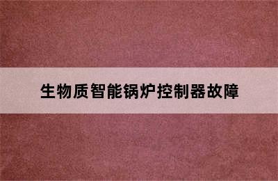 生物质智能锅炉控制器故障