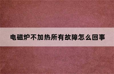 电磁炉不加热所有故障怎么回事