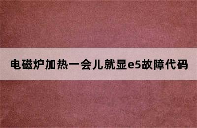 电磁炉加热一会儿就显e5故障代码