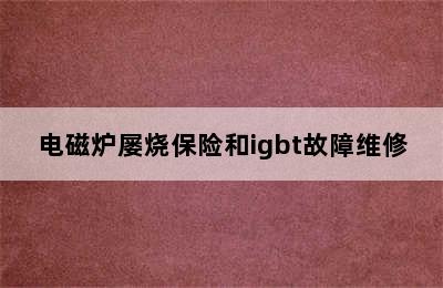 电磁炉屡烧保险和igbt故障维修