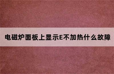 电磁炉面板上显示E不加热什么故障