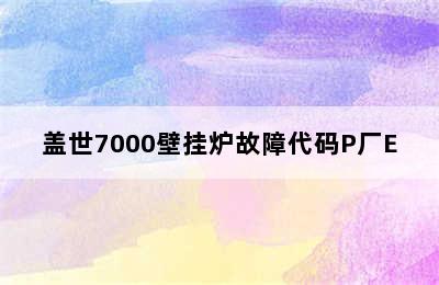 盖世7000壁挂炉故障代码P厂E