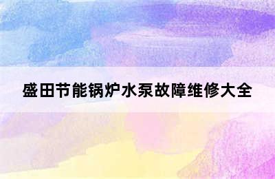 盛田节能锅炉水泵故障维修大全