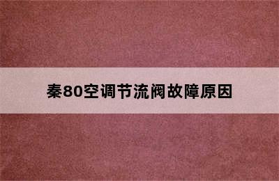 秦80空调节流阀故障原因