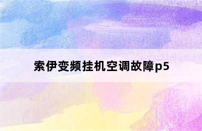 索伊变频挂机空调故障p5