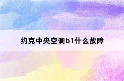 约克中央空调b1什么故障