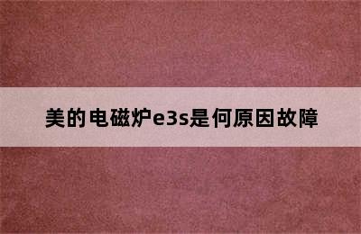 美的电磁炉e3s是何原因故障