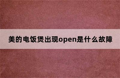 美的电饭煲出现open是什么故障