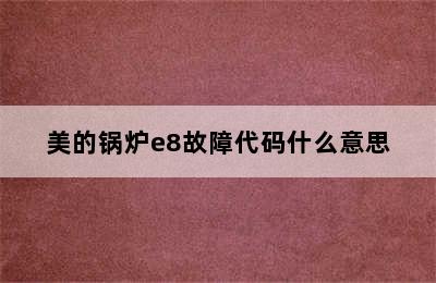 美的锅炉e8故障代码什么意思