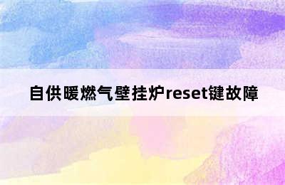 自供暖燃气壁挂炉reset键故障