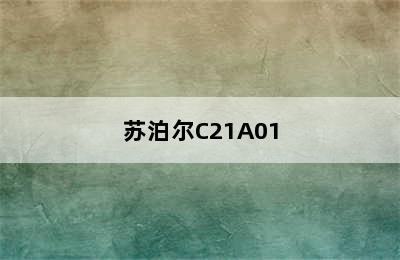 苏泊尔C21A01