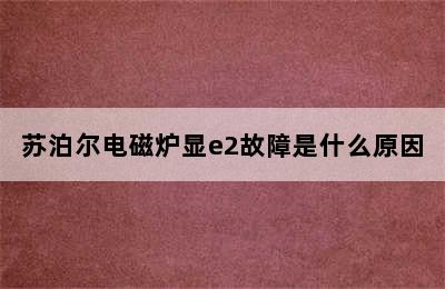 苏泊尔电磁炉显e2故障是什么原因