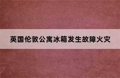 英国伦敦公寓冰箱发生故障火灾